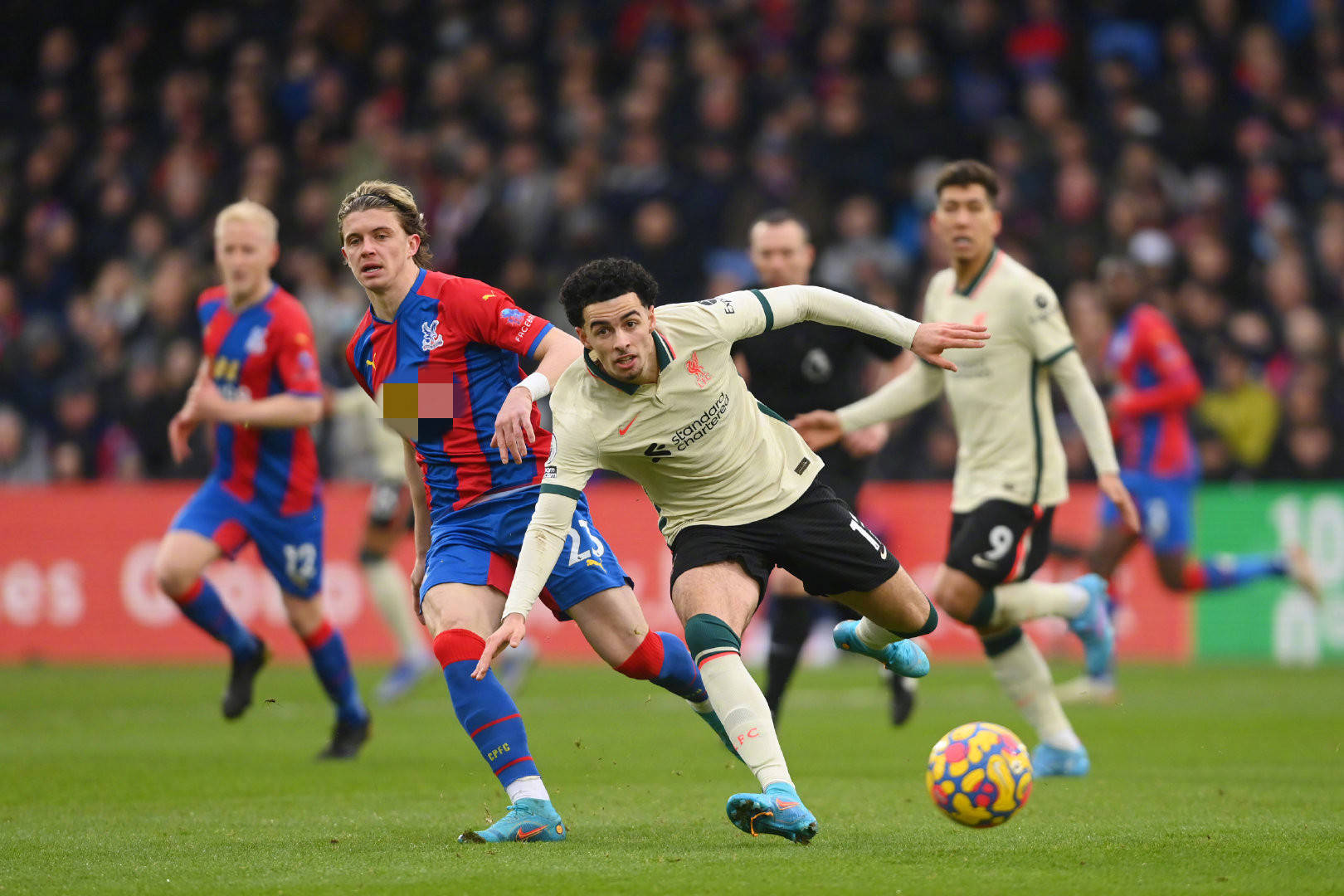 连续多年保 连续多年保